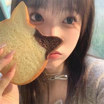 鬣狗之路